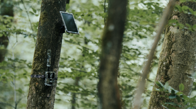 Flexible Stromversorgung