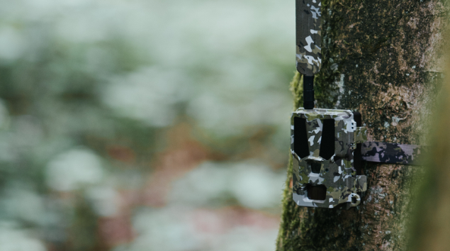 Kosteneffiziente Wildkamera-Lösung