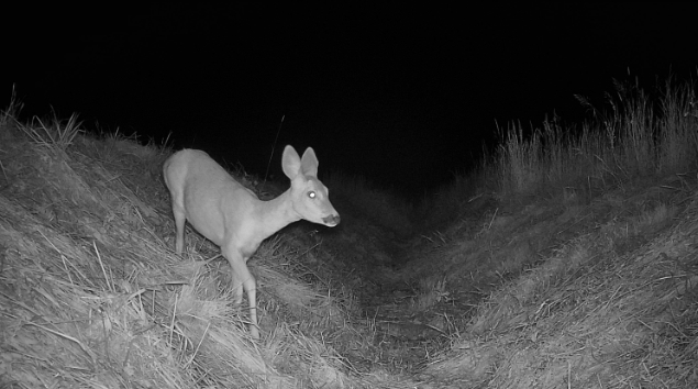 Intelligente Beleuchtung